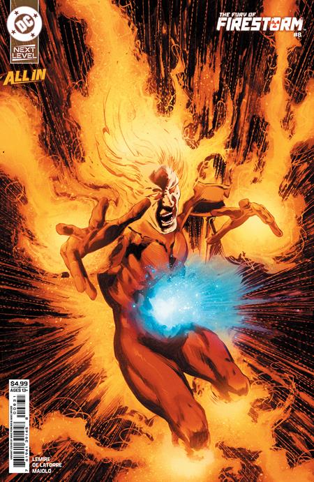 FURY OF FIRESTORM #8 (OF 9) (Limit 2 Per Cover) (rel:11/11)