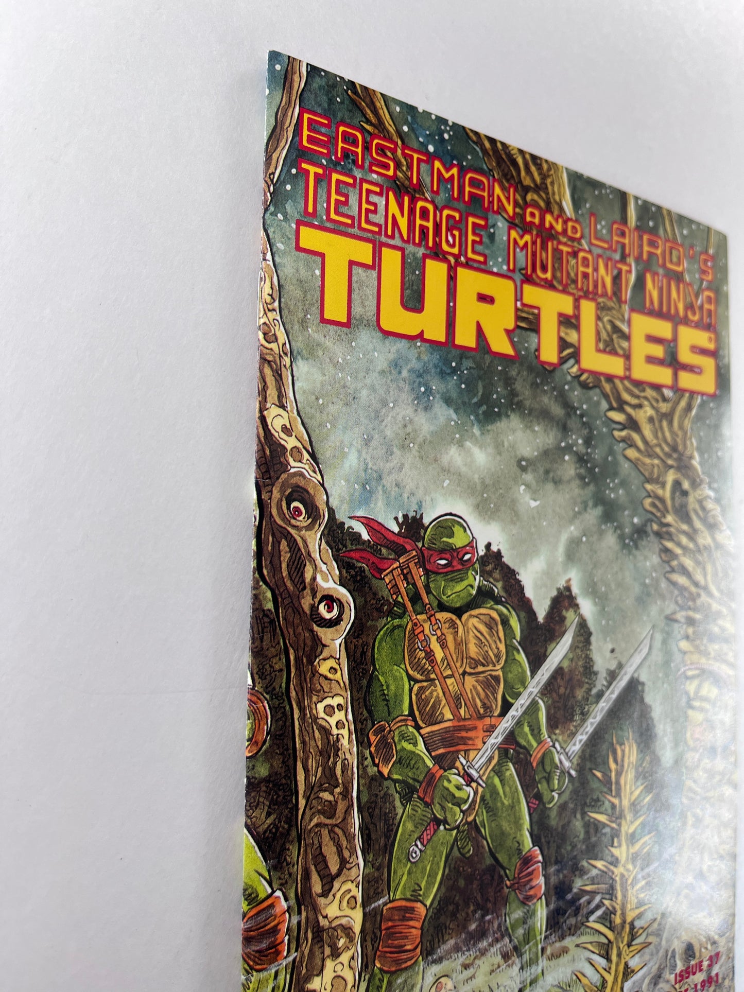 Teenage Mutant Ninja Turtles #37 (Jun 1991)