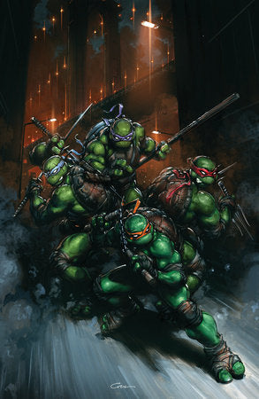 Teenage Mutant Ninja Turtles #13 Variant RI (50) (Crain Full Art)[1:50] (Limit 1 Per Customer) (rel:12/10)