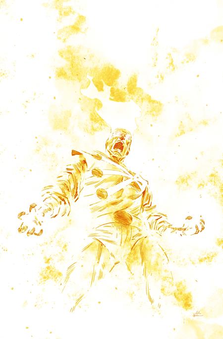 FURY OF FIRESTORM #9 (OF 9) (Limit 2 Per Cover) (rel:12/09)