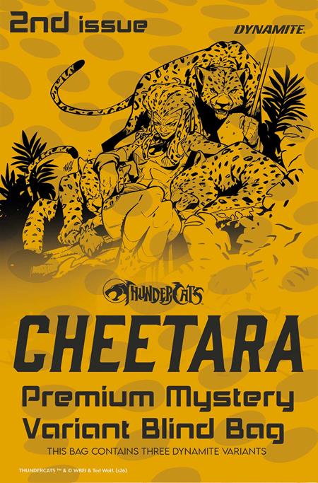 THUNDERCATS CHEETARA #2 CVR H PREMIUM MYSTERY BLIND BAG VAR (Limit 2 Per Cover) (rel:10/21)