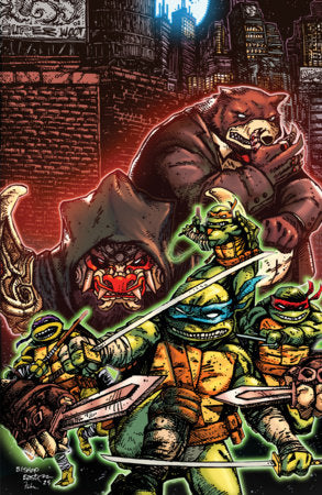 Teenage Mutant Ninja Turtles #14 (Limit 1 Per Customer) Variant RI (25) (Eastman & Bishop Full Art)[1:25] (rel:01/14)