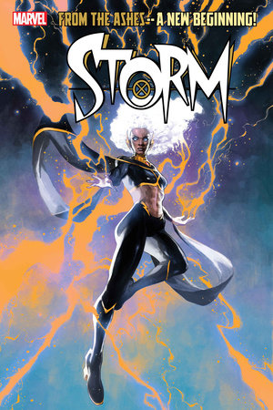 STORM #1 (rel:10/2)~