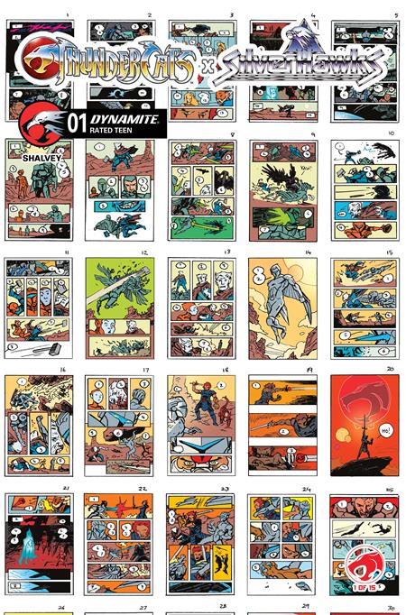 THUNDERCATS X SILVERHAWKS #1 CVR I INC 1:10 DECLAN SHALVEY LAYOUTS VAR (Limit 1 Per Customer) (rel:04/08)