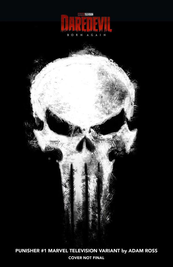 PUNISHER #1 (Limit 2 Per Cover) (rel:02/25)