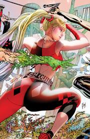 GOTHAM CITY SIRENS #2 (OF 4) (rel:8/14)