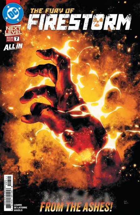 FURY OF FIRESTORM #7 (OF 8) (Limit 2 Per Cover) (rel:10/14)