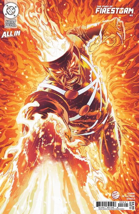 FURY OF FIRESTORM #6 (OF 8) (Limit 2 Per Cover) (rel:09/09)~