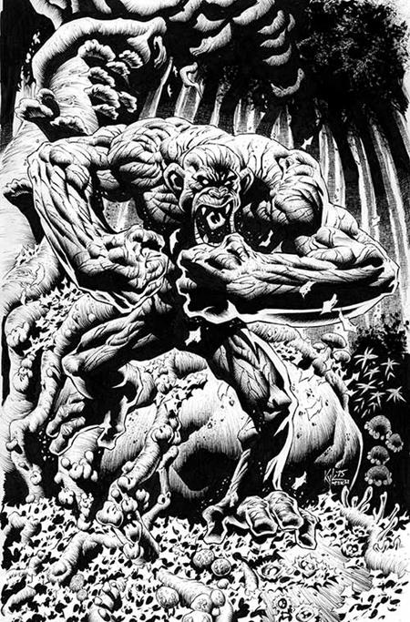 HERCULOIDS #6 CVR J INC 1:5 KYLE HOTZ VIRGIN LINE ART FOC BONUS VAR (rel:08/06)