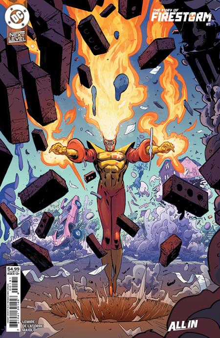 FURY OF FIRESTORM #1 (OF 6) (Limit 2 Per Cover) (rel:04/08)~