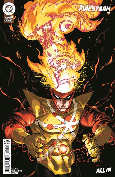 FURY OF FIRESTORM #2 (OF 6) (Limit 2 Per Cover) (rel:05/13)~