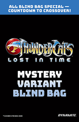 THUNDERCATS LOST IN TIME #1 (ONE SHOT) BLIND BAG (Limit 2 Per Cover) (rel:01/28)