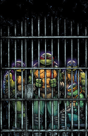 Teenage Mutant Ninja Turtles #11 Variant RI (10) (Eastman Full Art)[1:10] (rel:08/27)