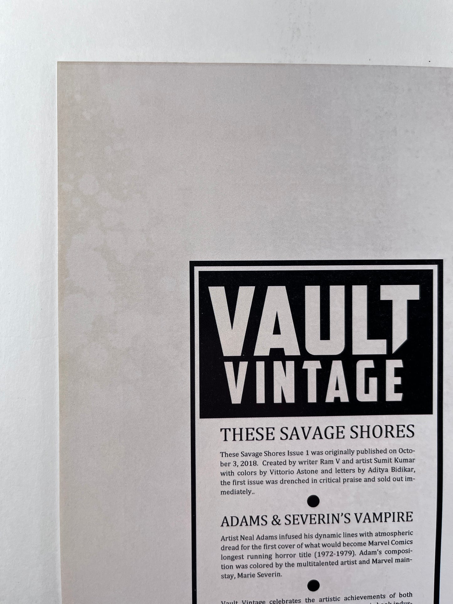 These Savage Shores #1 2nd Printing (Nov 2018)