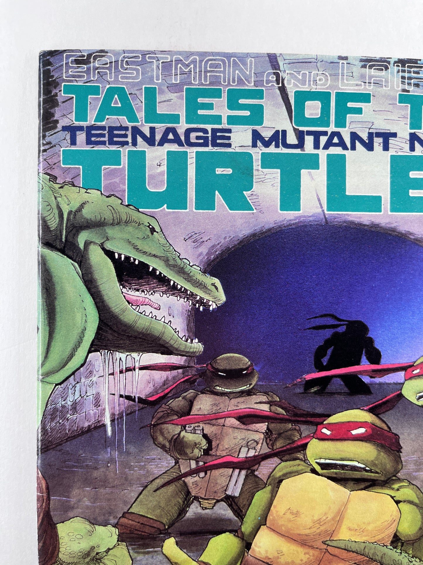 Tales of the Teenage Mutant Ninja Turtles #6 (Aug 1988)