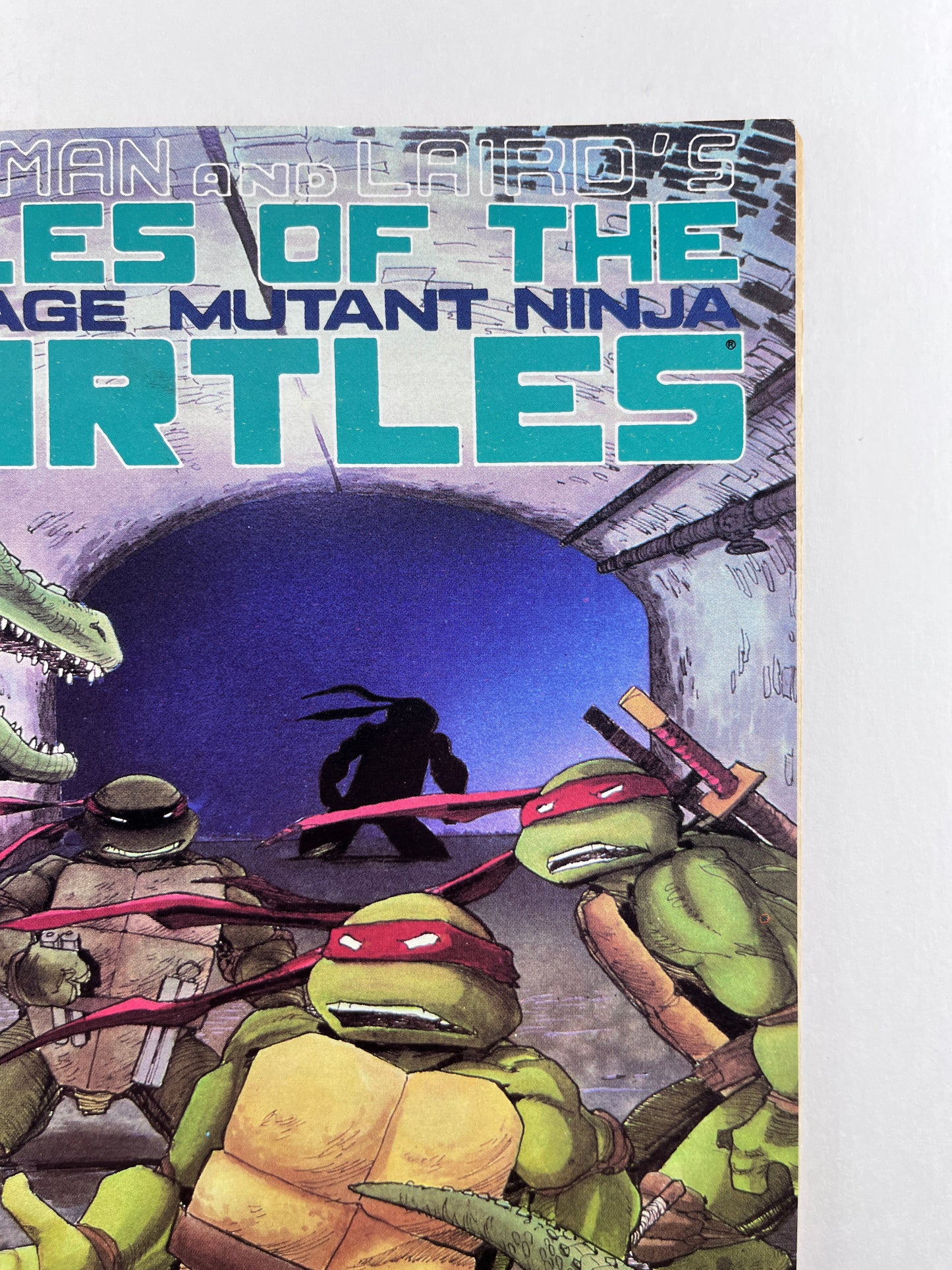 Tales of the Teenage Mutant Ninja Turtles #6 (Aug 1988)