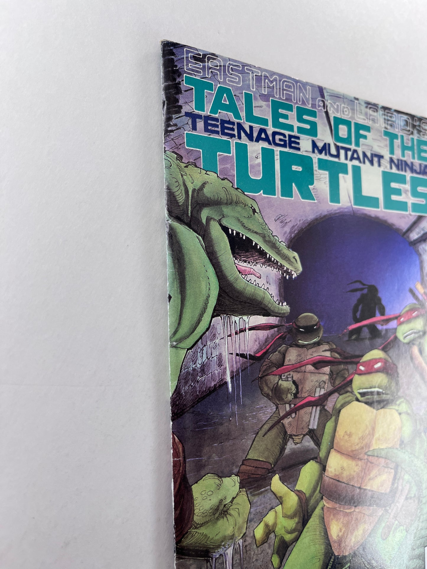Tales of the Teenage Mutant Ninja Turtles #6 (Aug 1988)