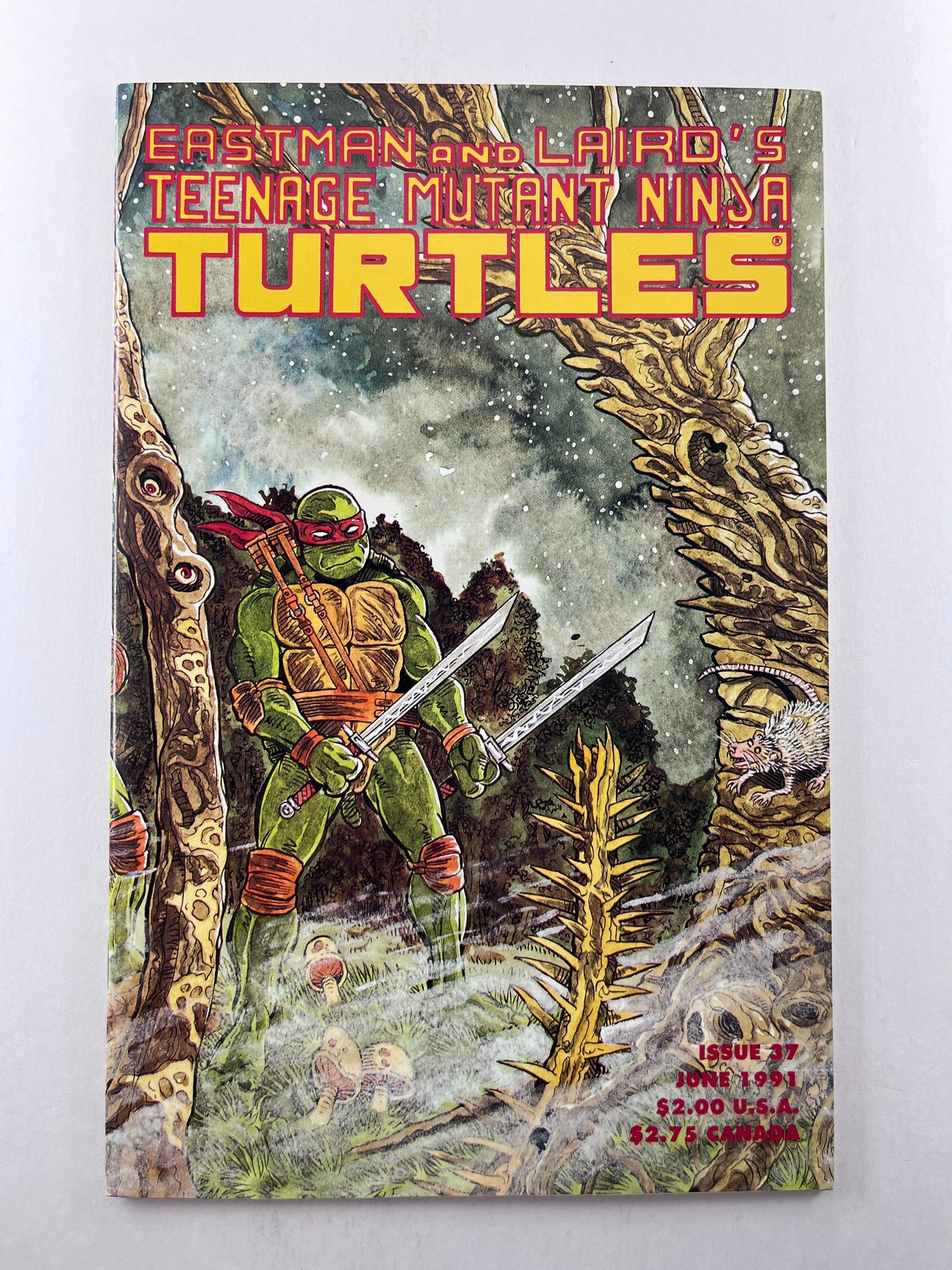Teenage Mutant Ninja Turtles #37 (Jun 1991)