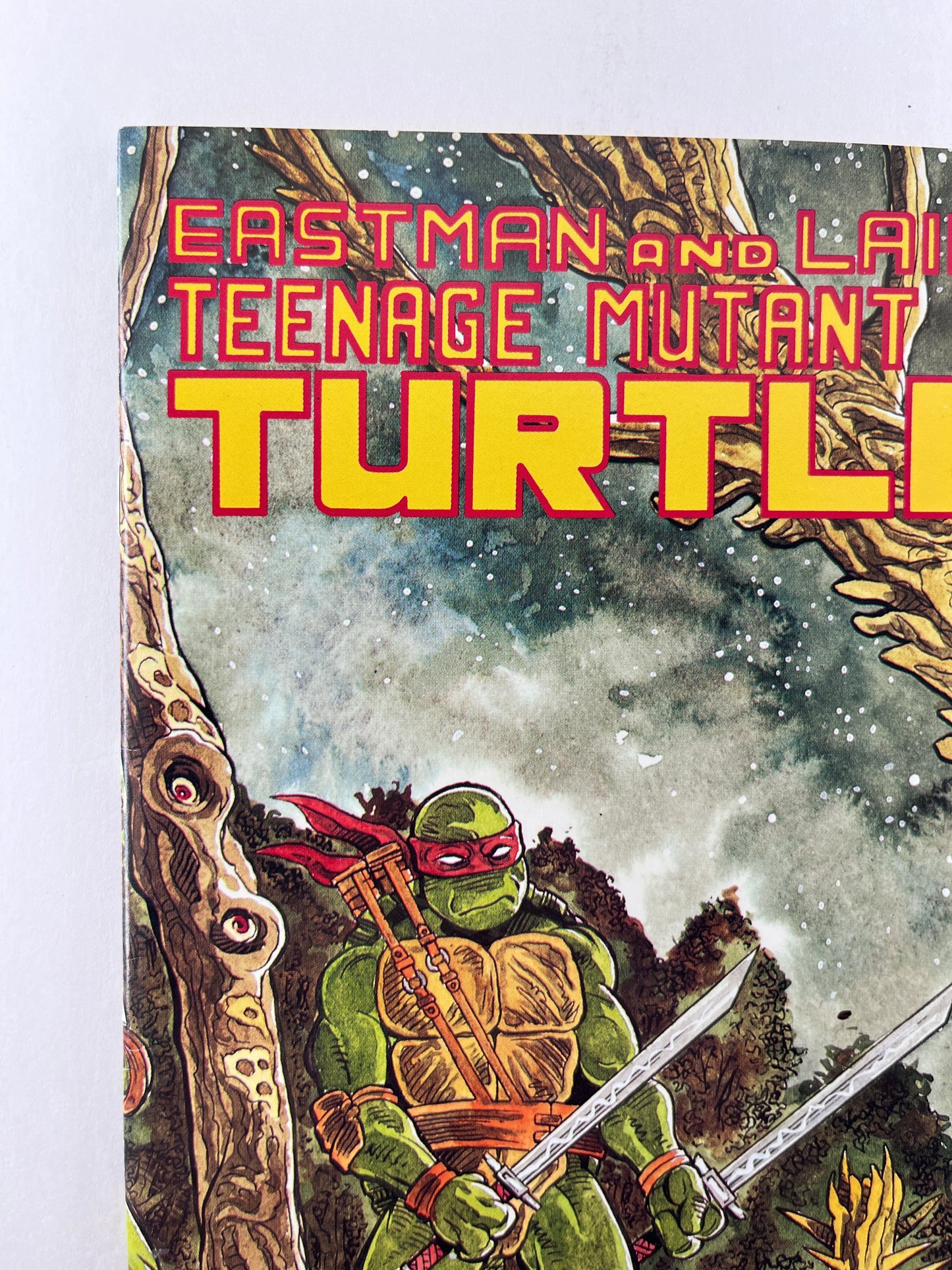 Teenage Mutant Ninja Turtles #37 (Jun 1991)