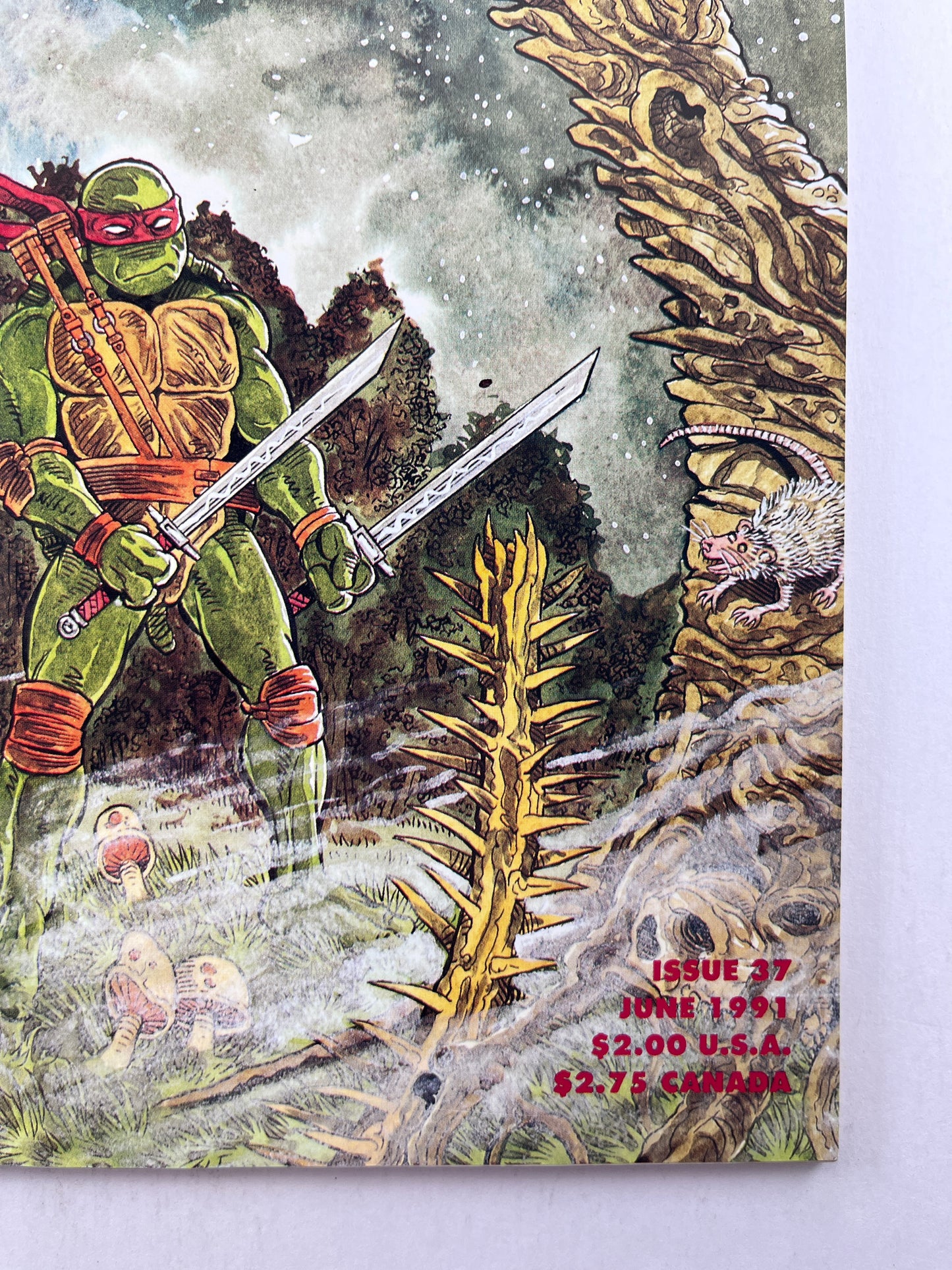 Teenage Mutant Ninja Turtles #37 (Jun 1991)