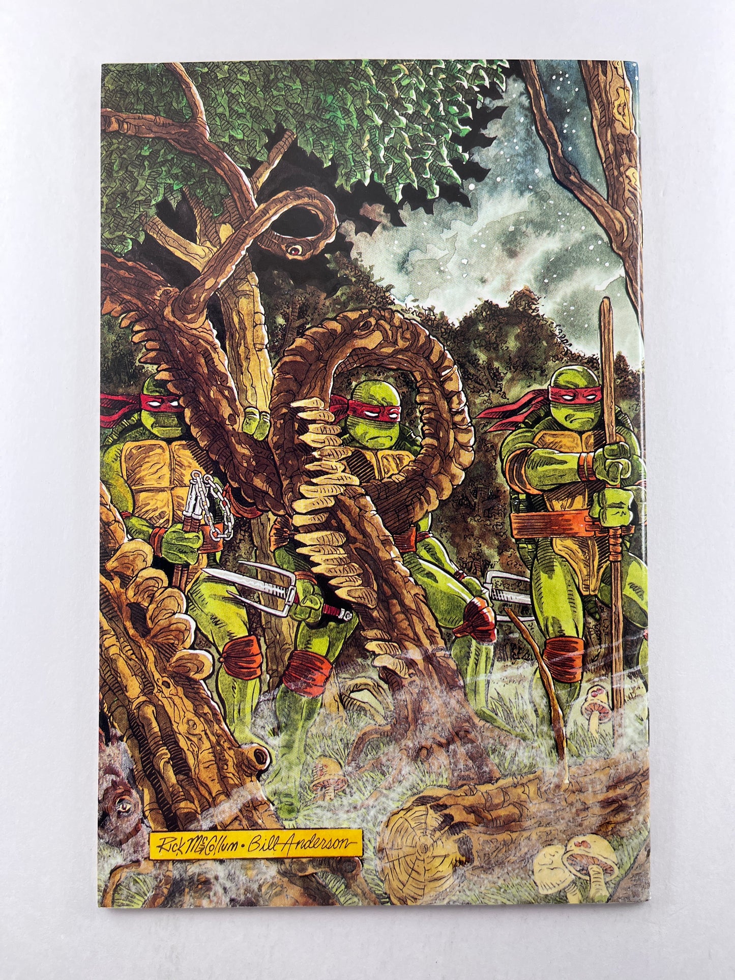 Teenage Mutant Ninja Turtles #37 (Jun 1991)