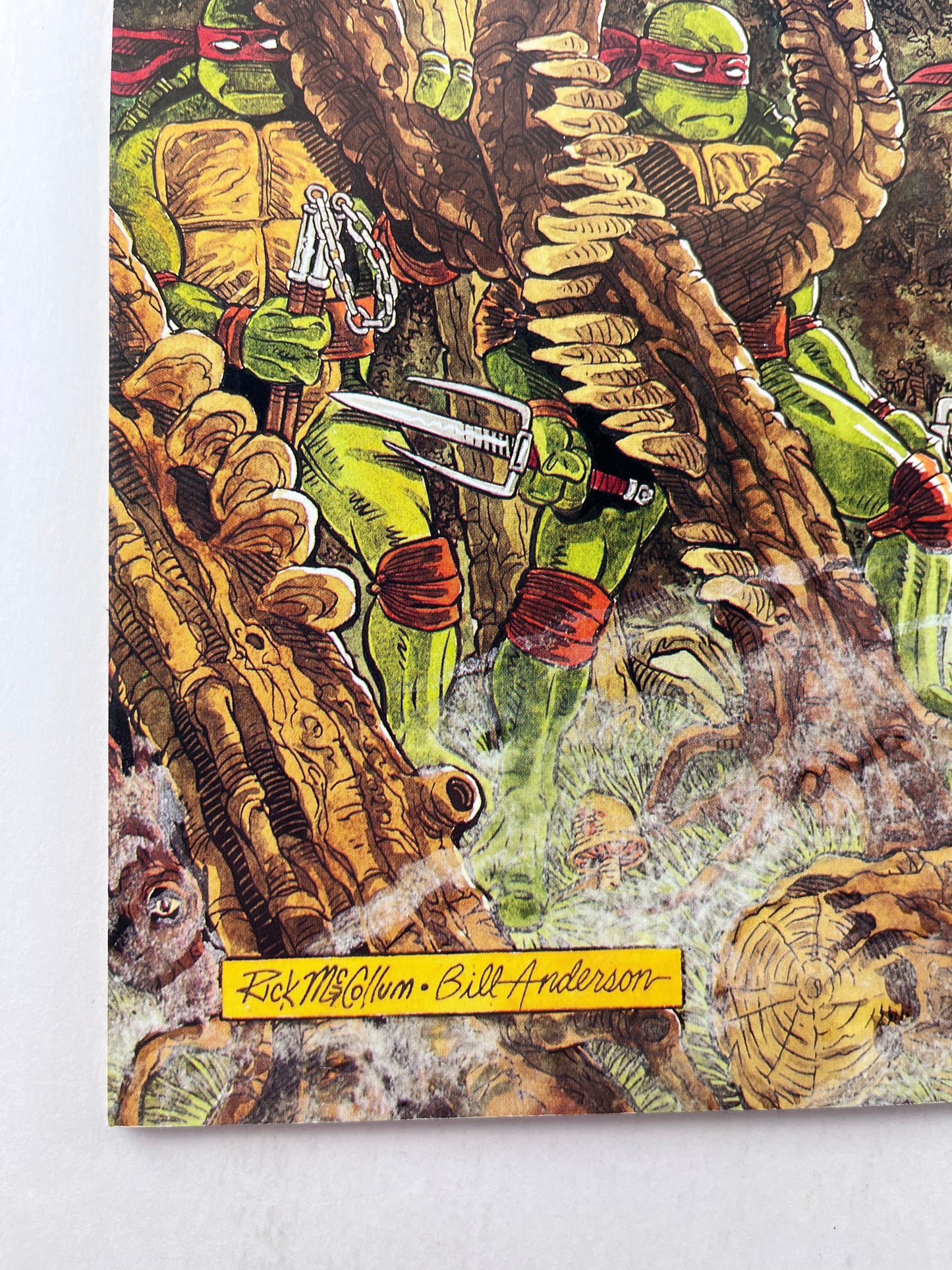 Teenage Mutant Ninja Turtles #37 (Jun 1991)
