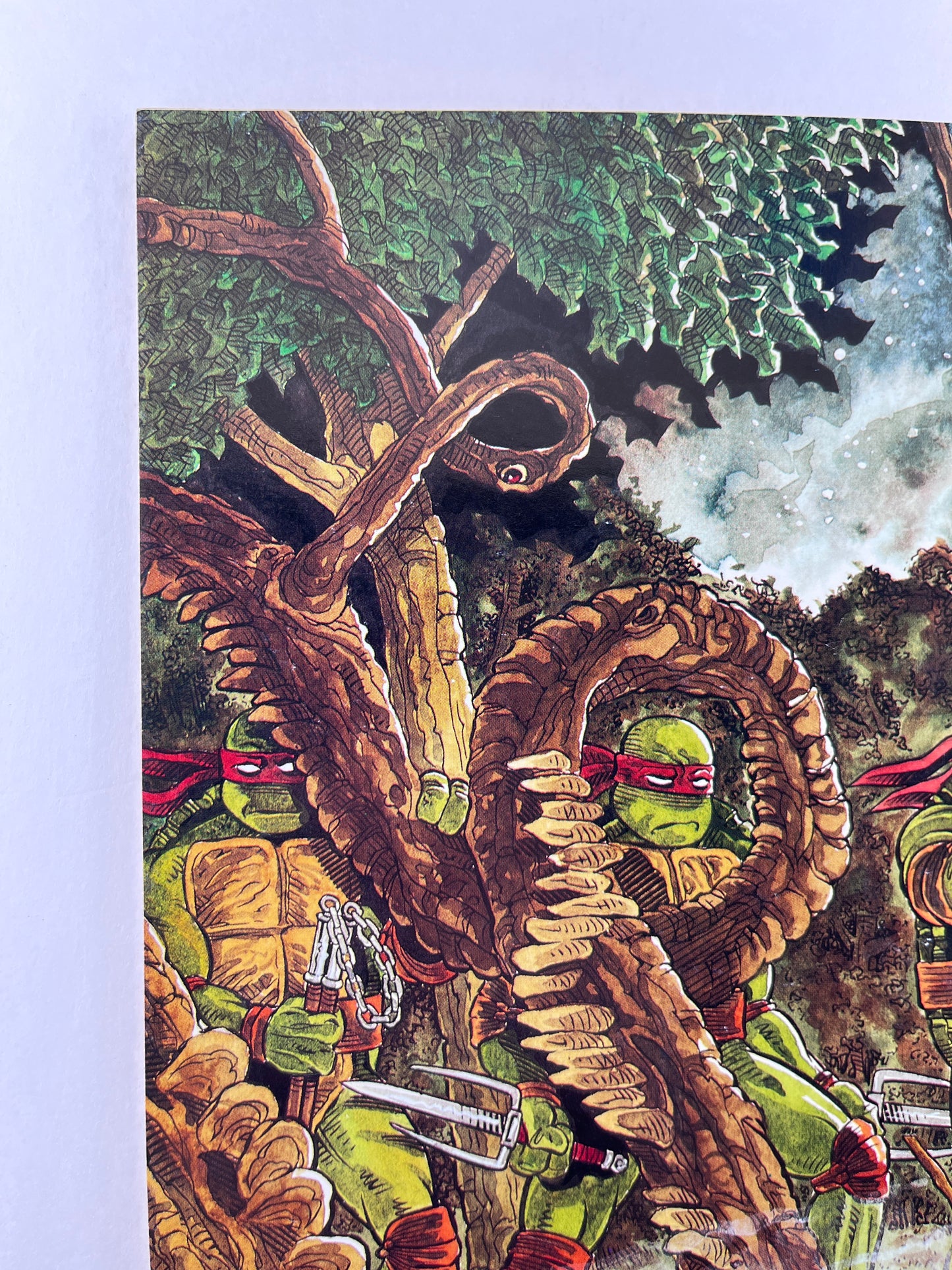 Teenage Mutant Ninja Turtles #37 (Jun 1991)