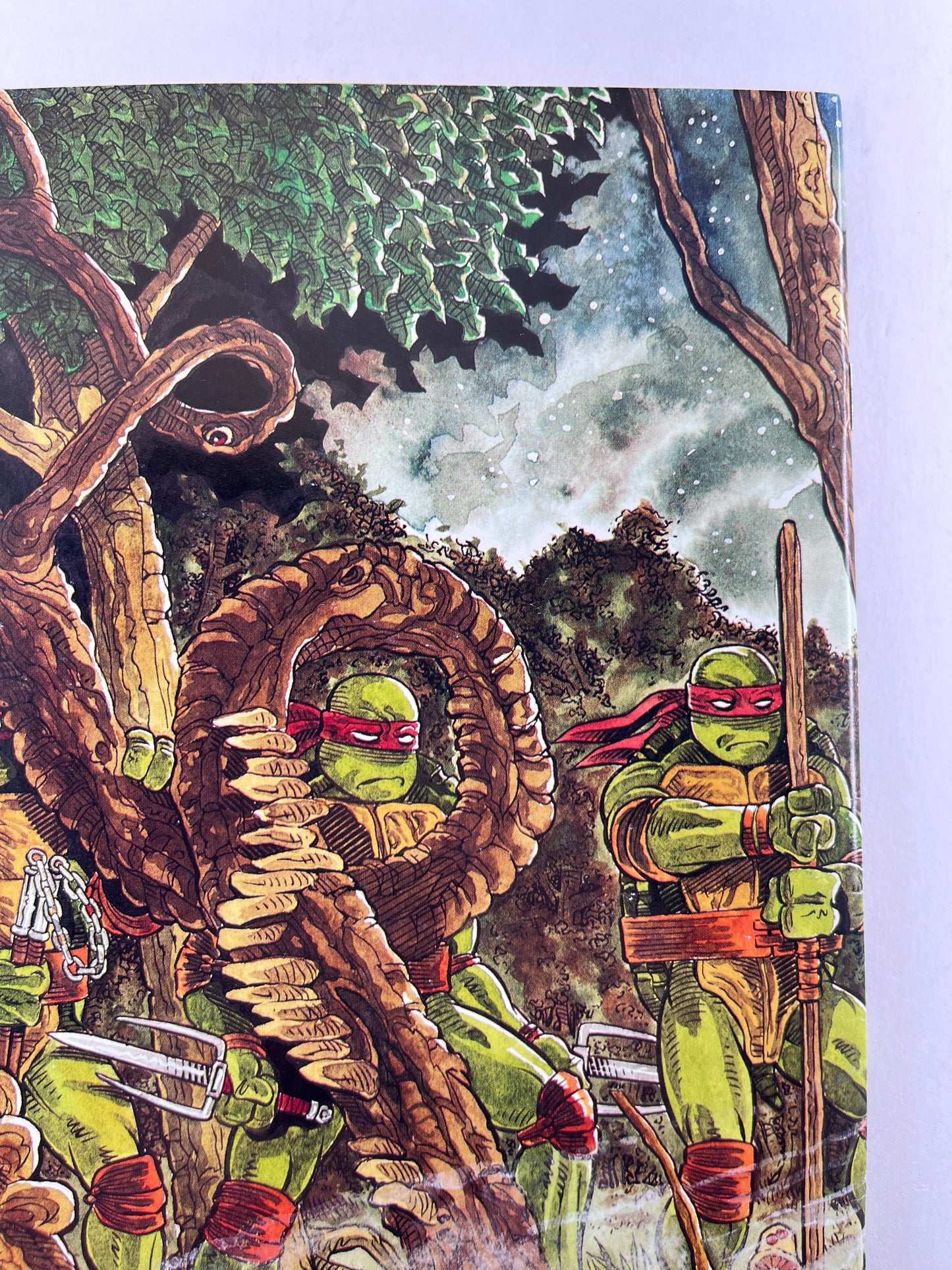 Teenage Mutant Ninja Turtles #37 (Jun 1991)