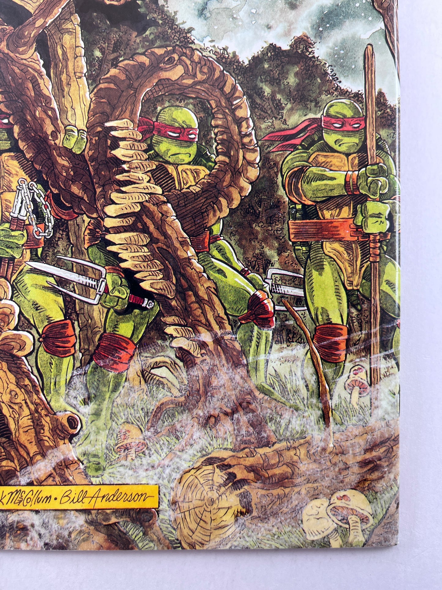 Teenage Mutant Ninja Turtles #37 (Jun 1991)