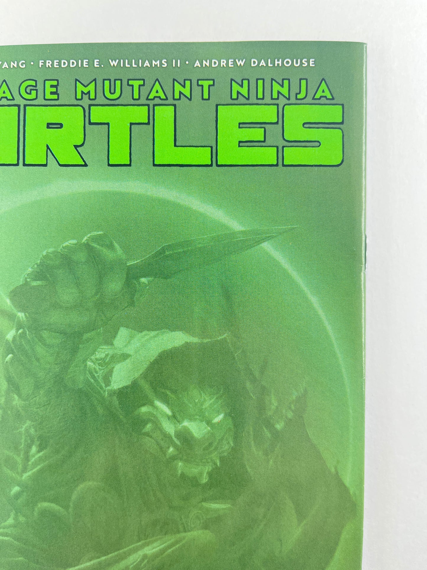 Teenage Mutant Ninja Turtles #13 1:100 Rahzzah Blind Bag Variant (Dec 2025)