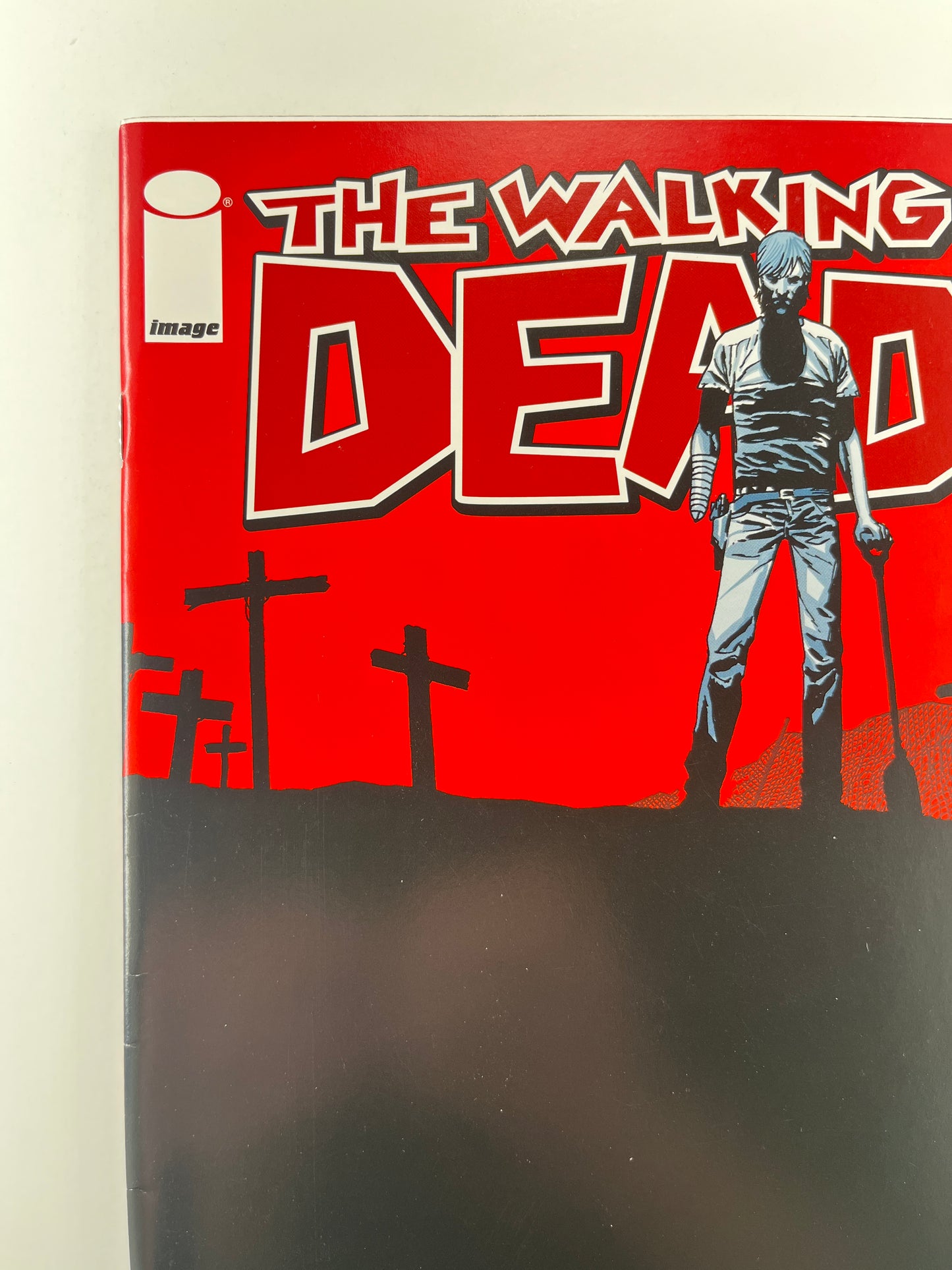 The Walking Dead #48 (Apr 2008) (Death of Lori, Judith, Governor, Hershel)