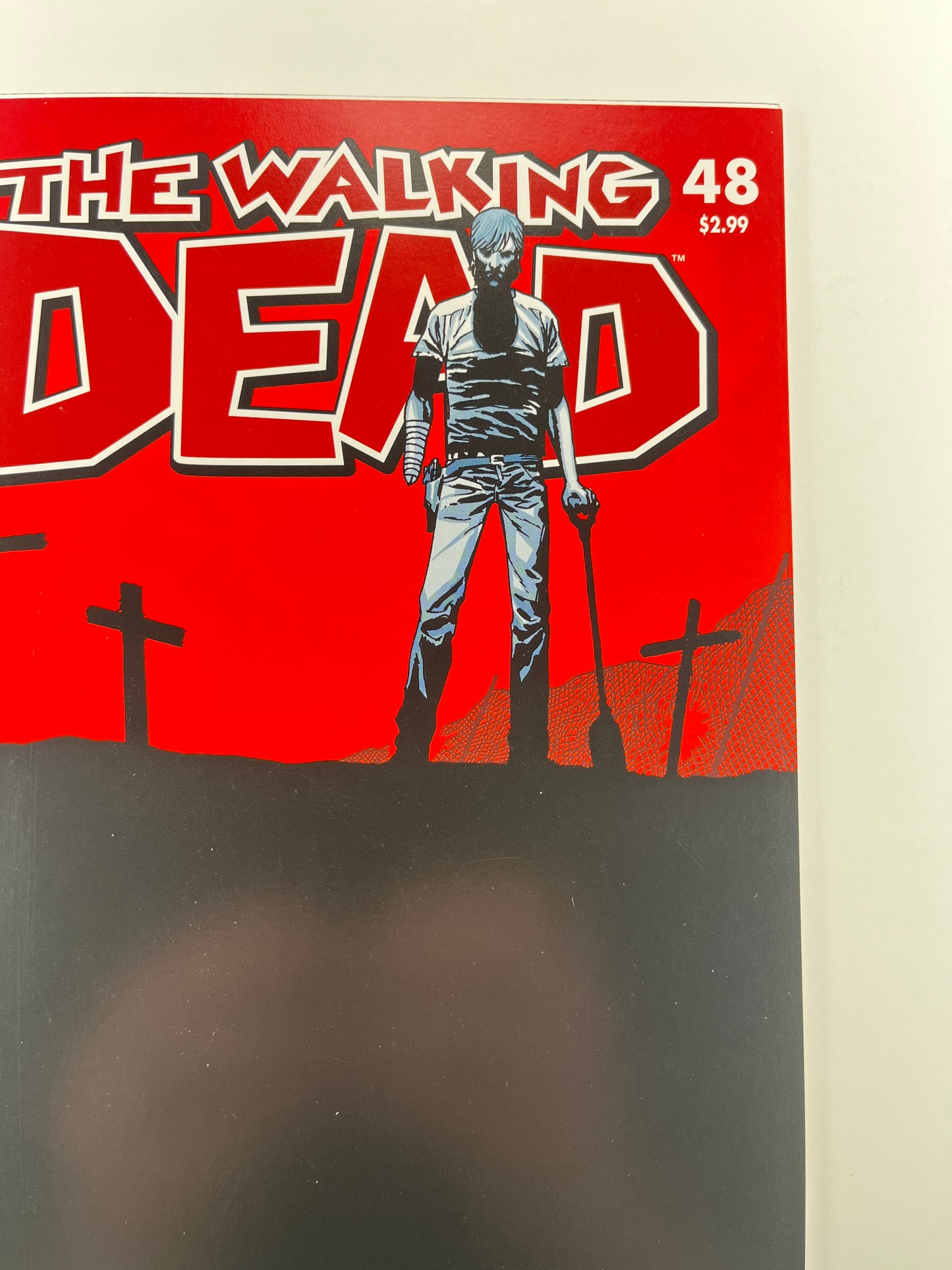 The Walking Dead #48 (Apr 2008) (Death of Lori, Judith, Governor, Hershel)