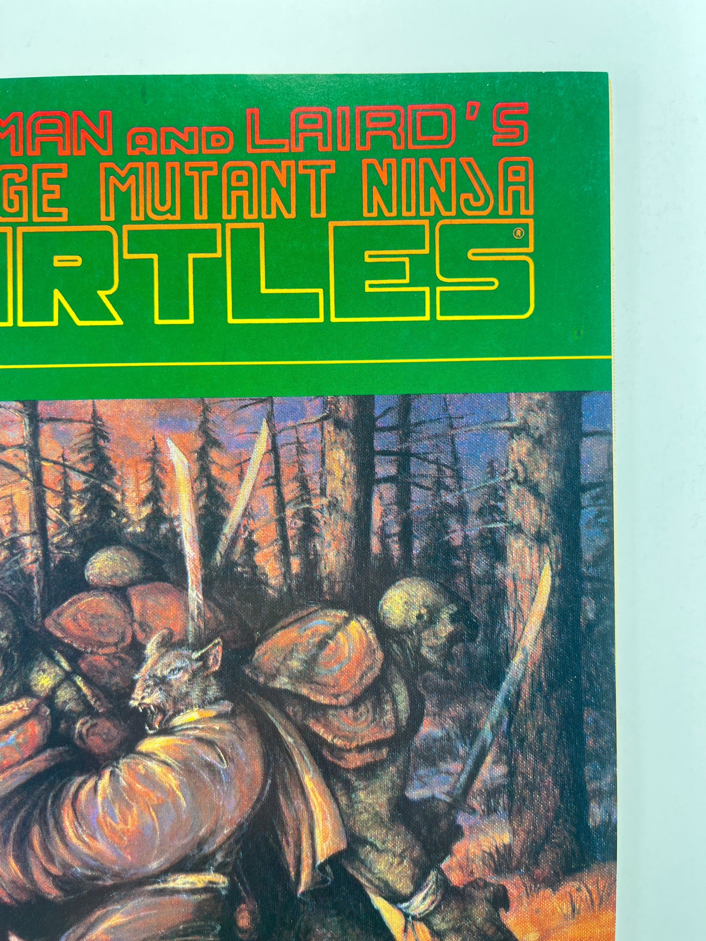 Teenage Mutant Ninja Turtles #31 (Jul 1990)