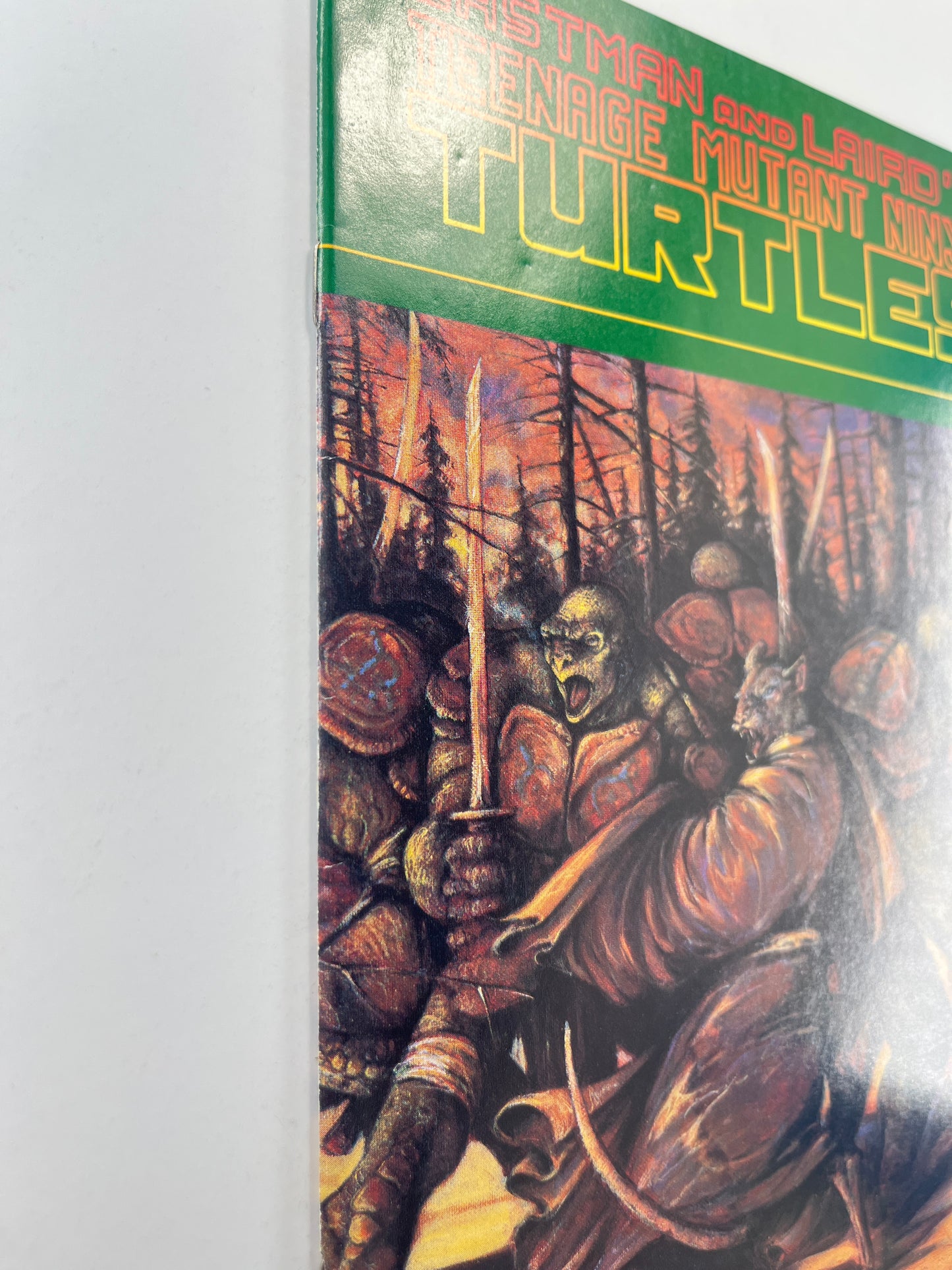 Teenage Mutant Ninja Turtles #31 (Jul 1990)