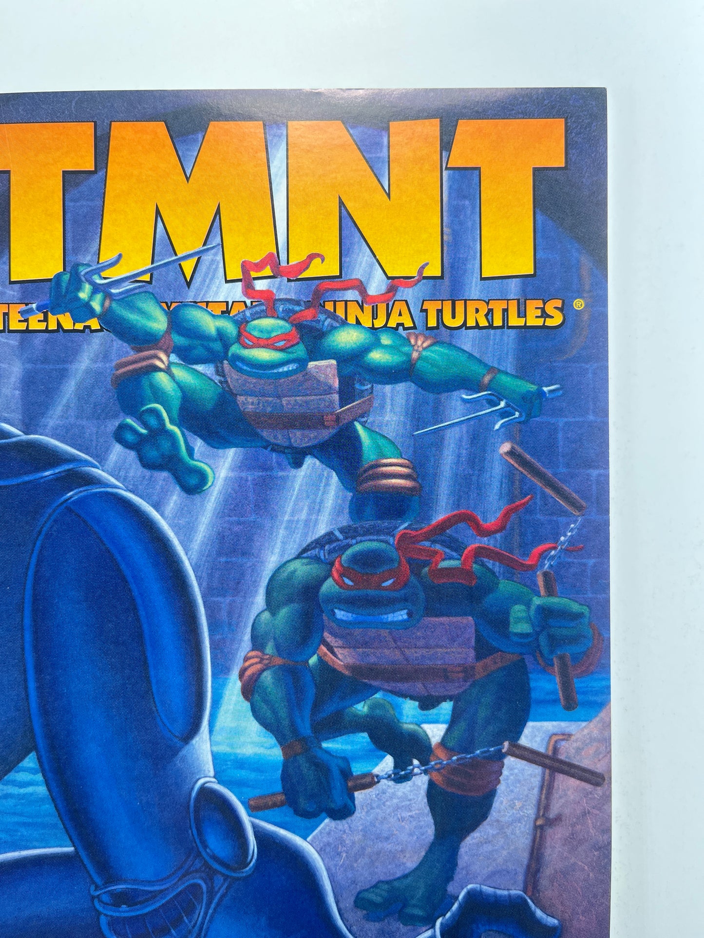 TMNT: Teenage Mutant Ninja Turtles #5 (Aug 2002)