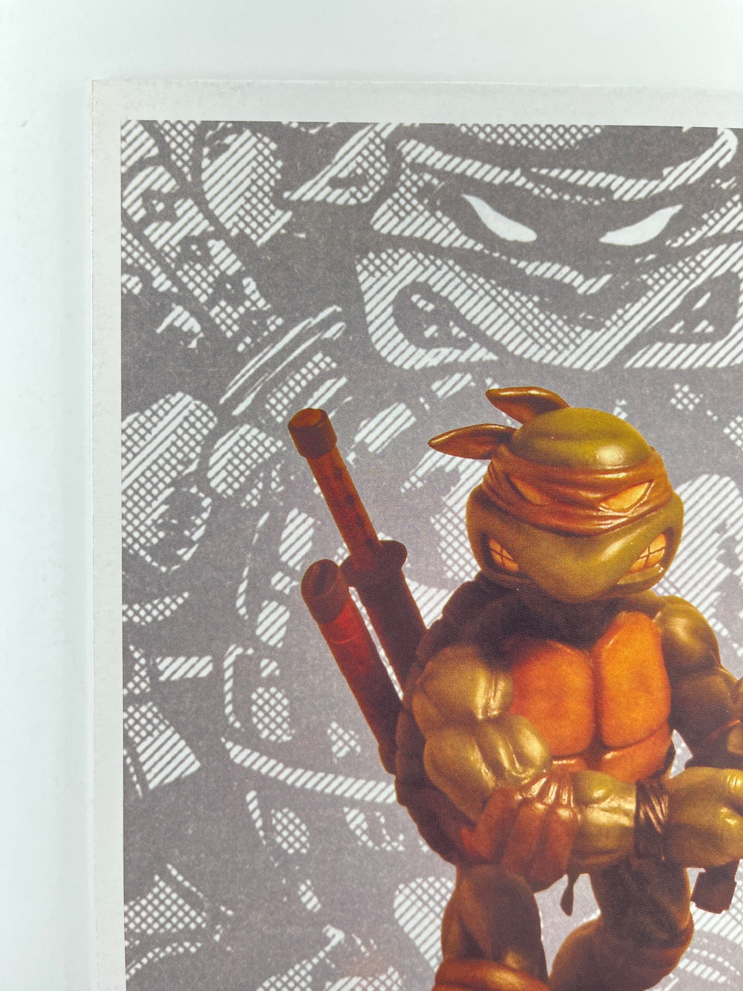 TMNT: Teenage Mutant Ninja Turtles #5 (Aug 2002)