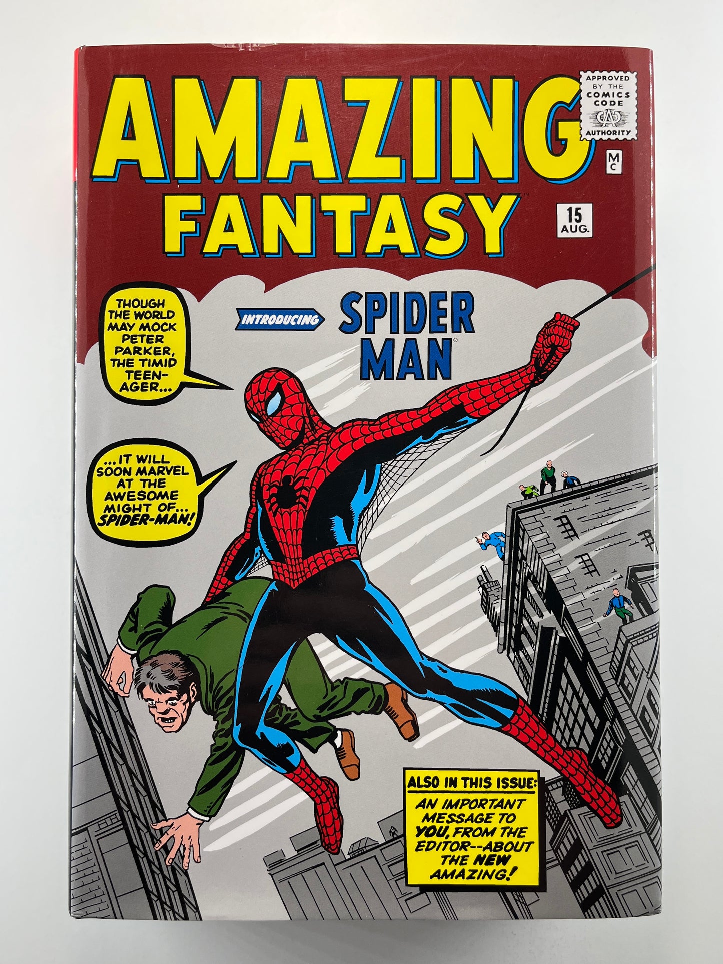 The Amazing Spider-Man Omnibus Vol. 1 HC 2013 Edition (2nd Print)