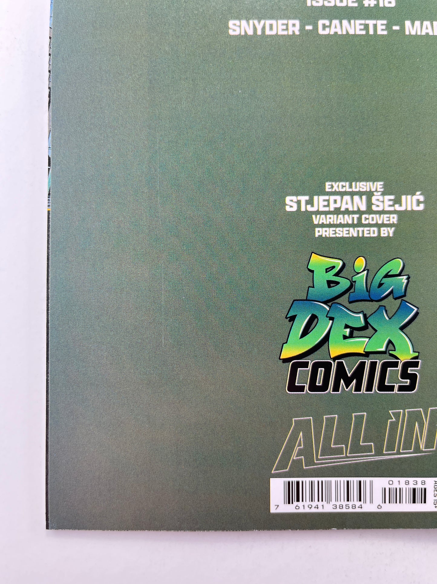 Absolute Batman #18 Big Dex Comics Stjepan Šejić Variant