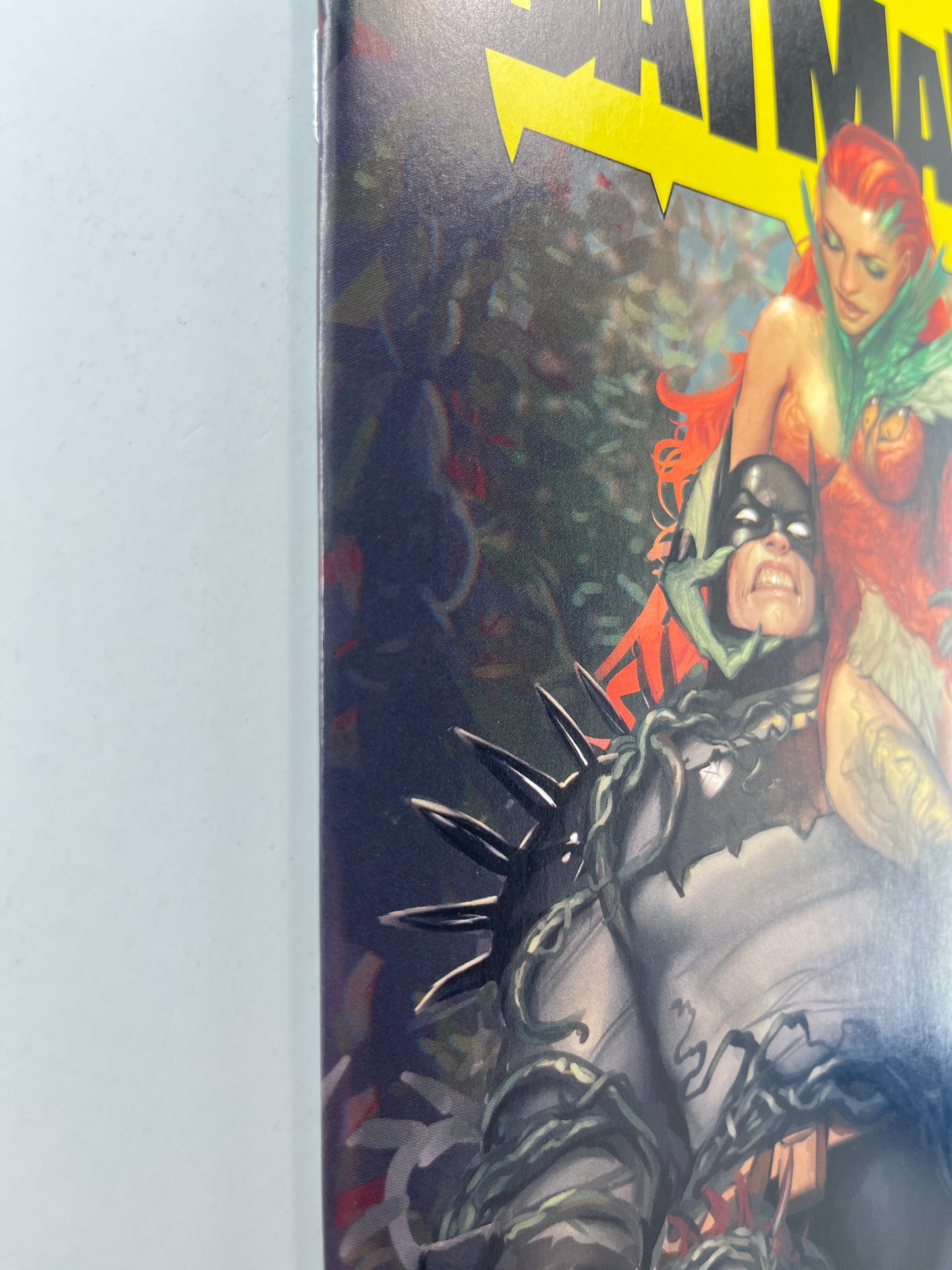 Absolute Batman #18 Big Dex Comics Stjepan Šejić Variant