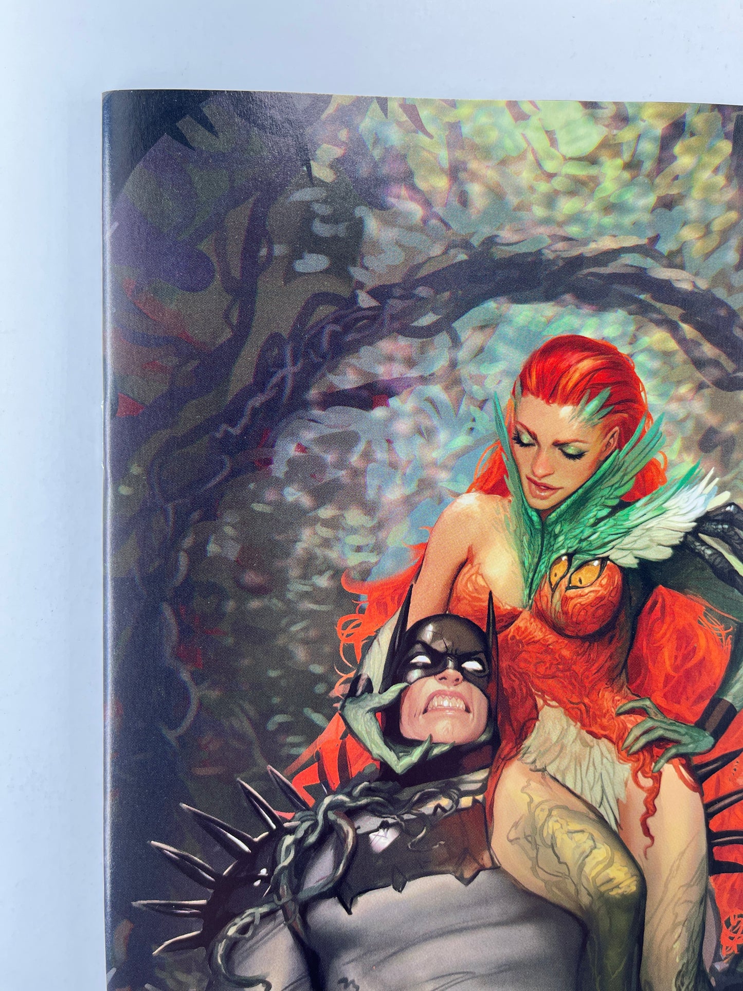 Absolute Batman #18 Big Dex Comics Stjepan Šejić Virgin Variant